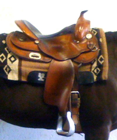 11-Continental Equiflex 147 Pro Reiner 16 Sitz-SG06-2011